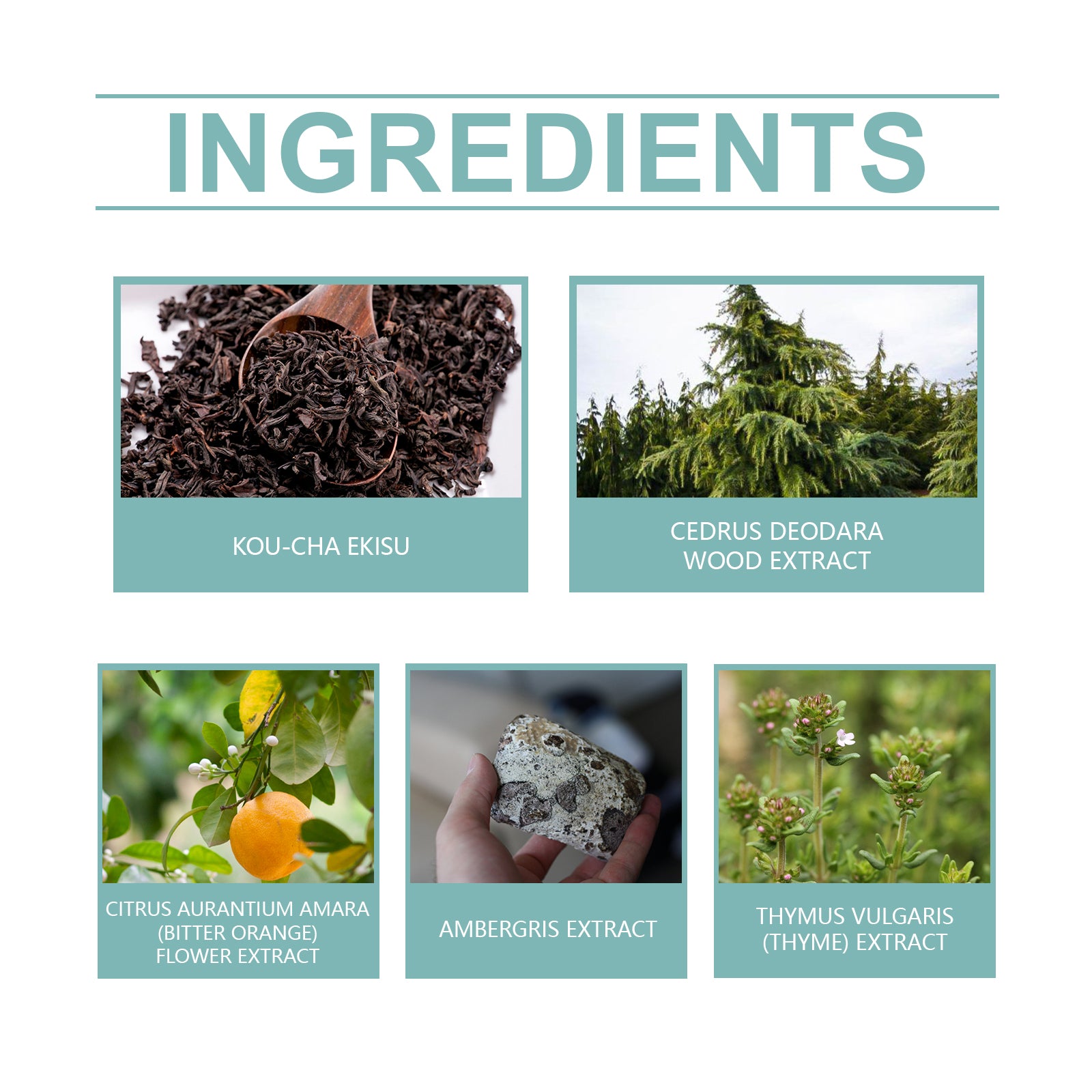 Roxelis Dragon Fragrance Niche Perfume Mild Natural Light Fragrance Lasting Fragrance Charm Hormone Fragrance Men's Perfume